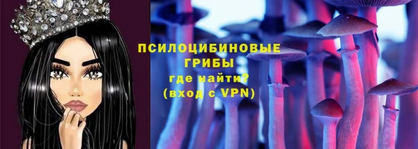 бутират Белокуриха