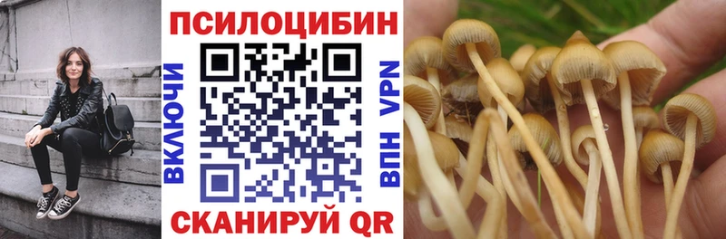 Купить закладки  Старая Купавна  Галлюциногенные грибы Cubensis 