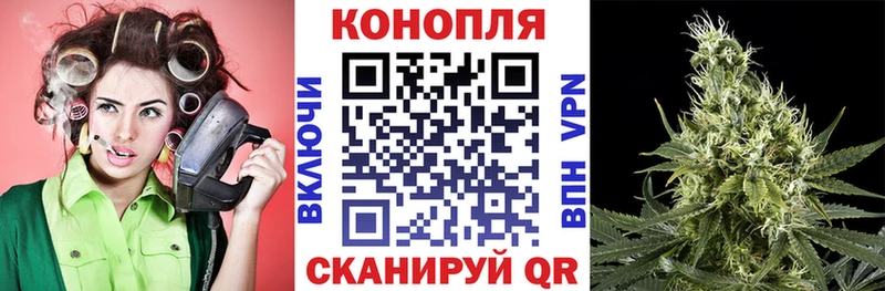 МАРИХУАНА OG Kush Старая Купавна